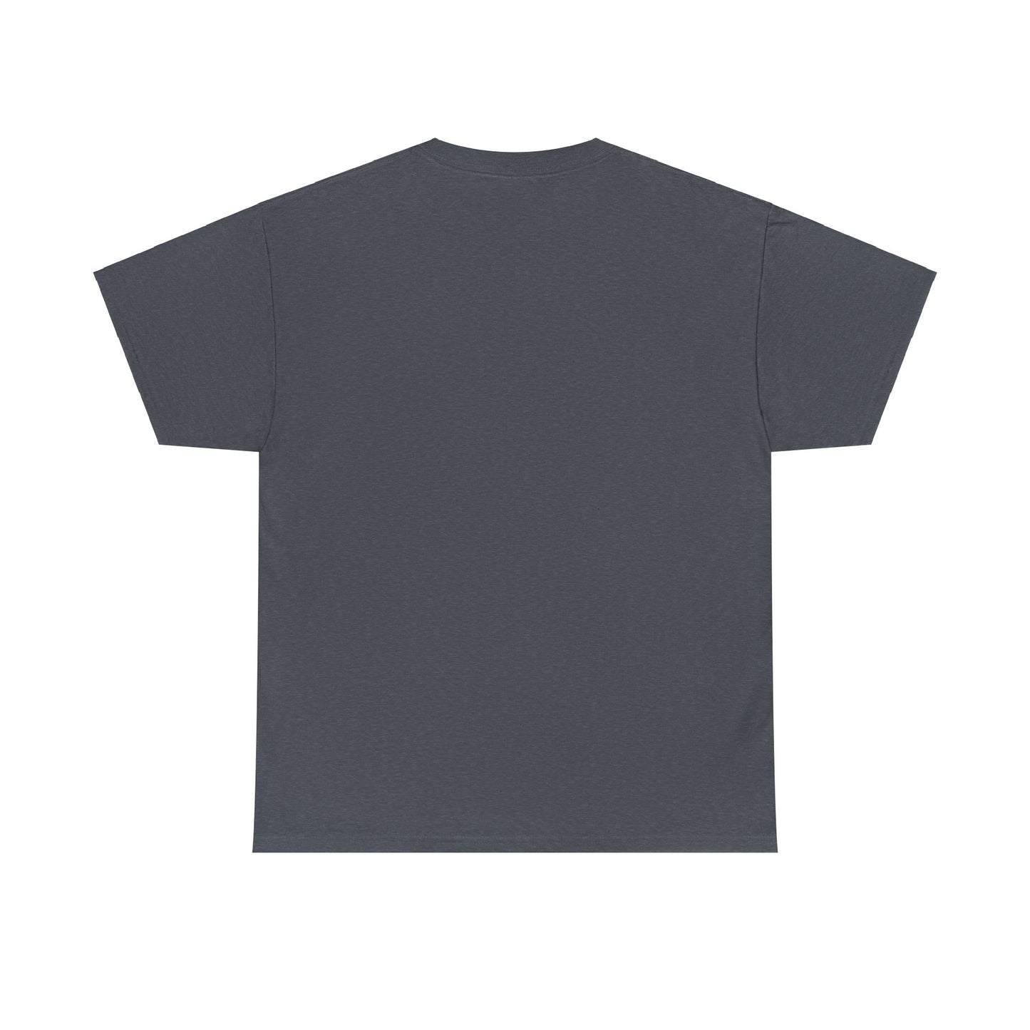 HAVASU Unisex Heavy Cotton Tee