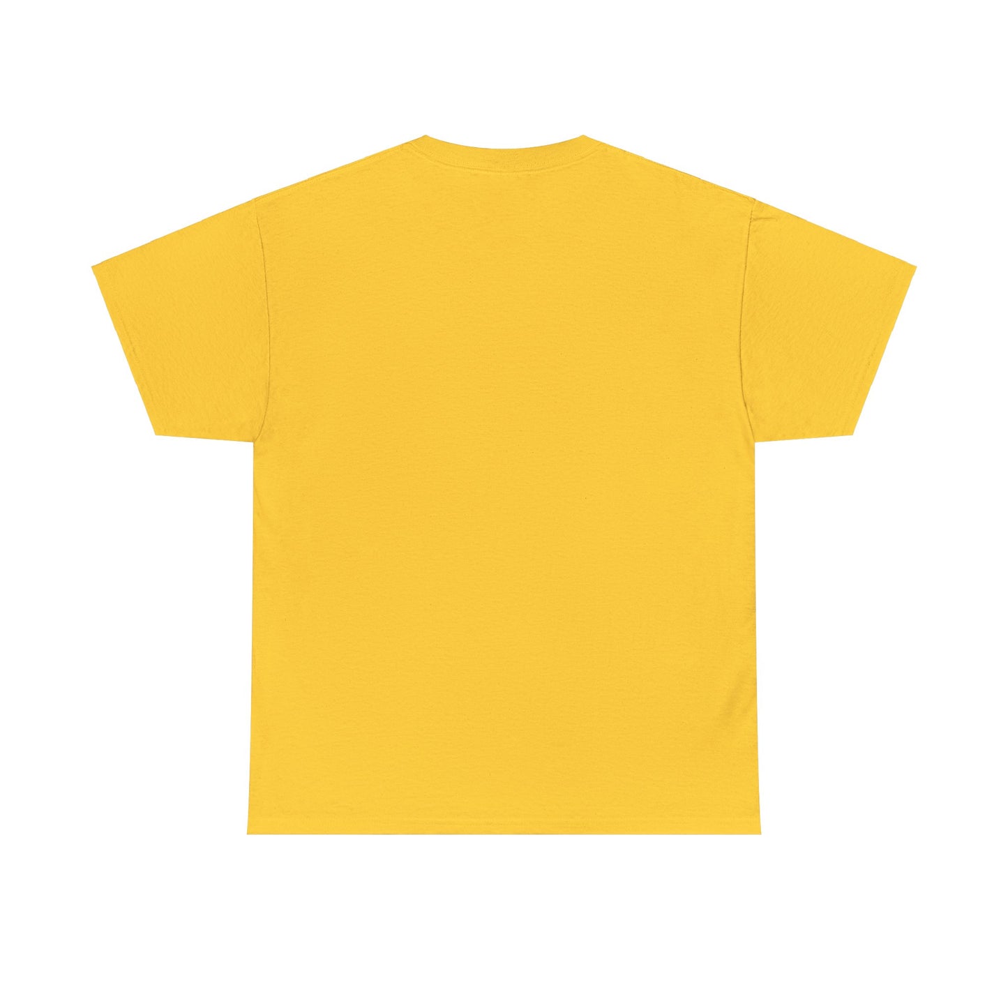 HAVASU Unisex Heavy Cotton Tee