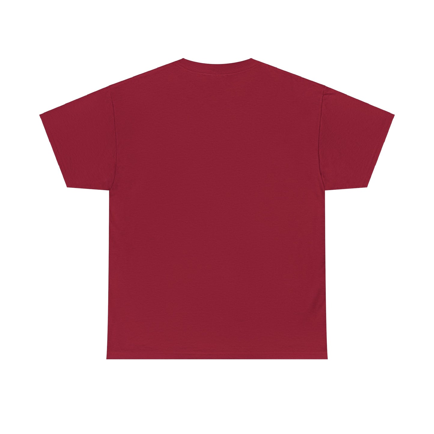 HAVASU Unisex Heavy Cotton Tee