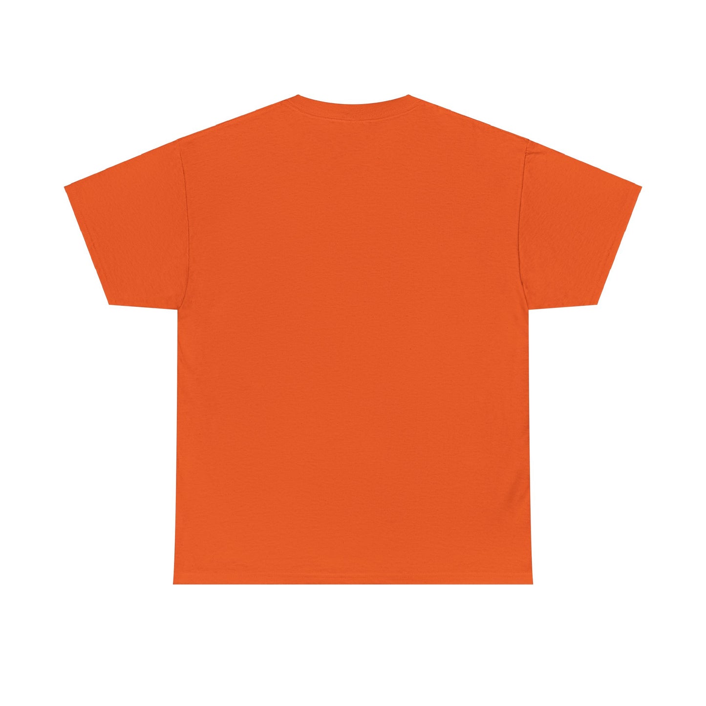 HAVASU Unisex Heavy Cotton Tee