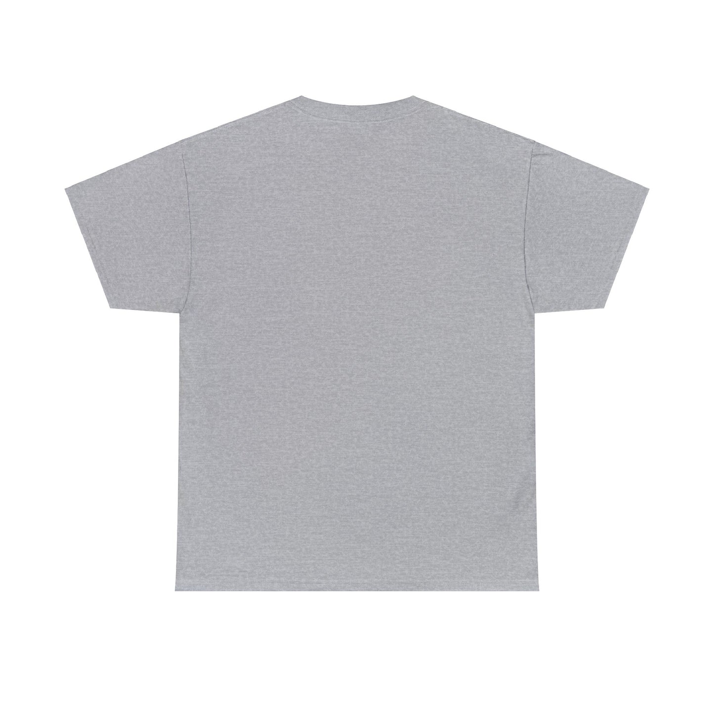 HAVASU Unisex Heavy Cotton Tee