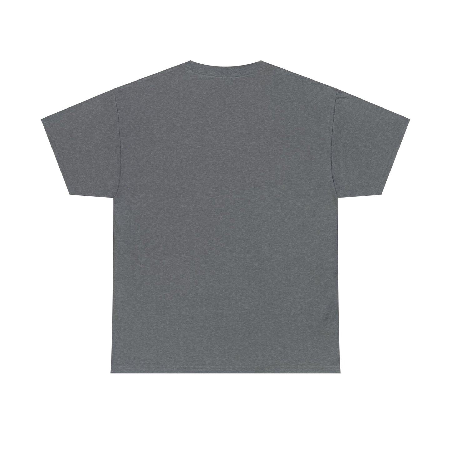 HAVASU Unisex Heavy Cotton Tee