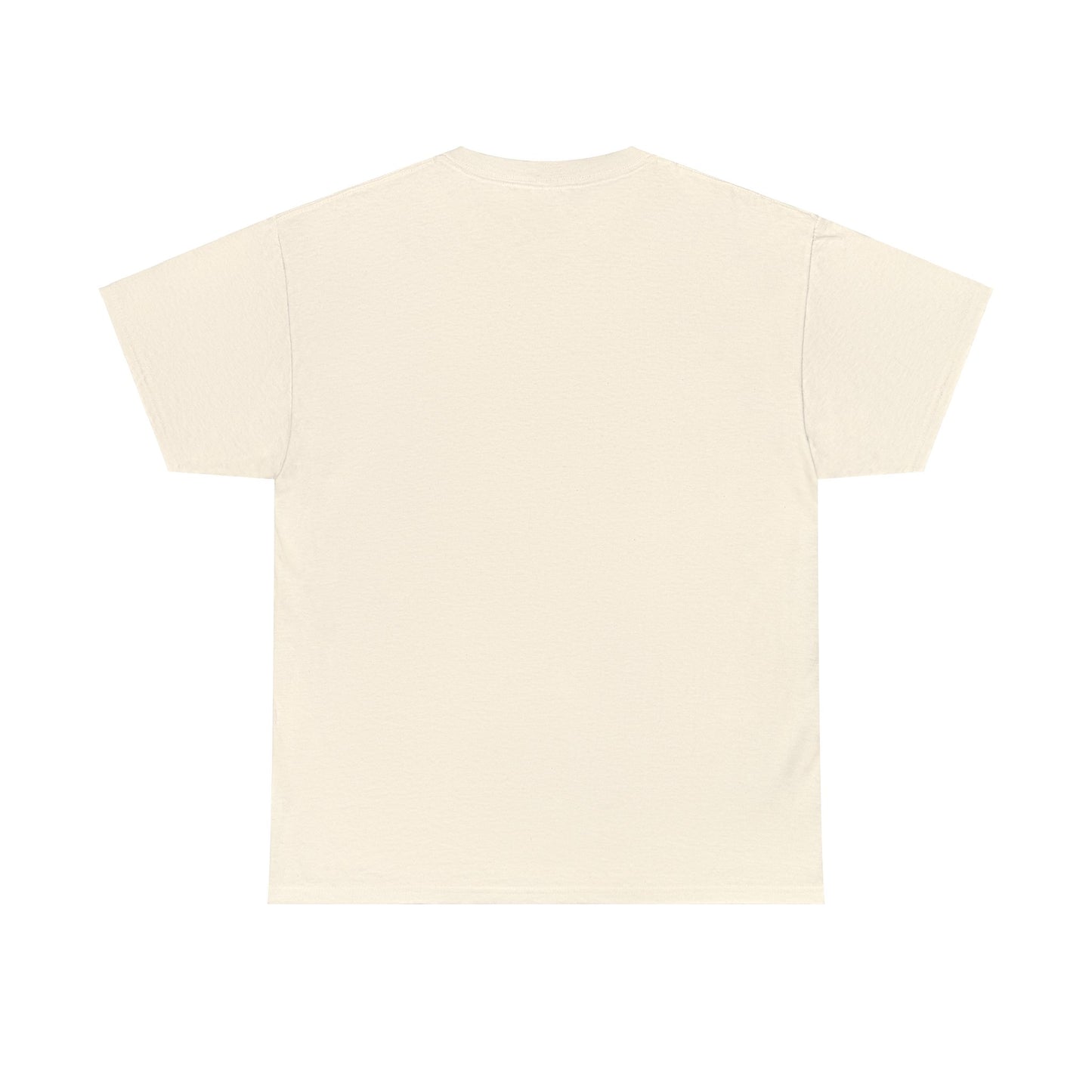 HAVASU Unisex Heavy Cotton Tee