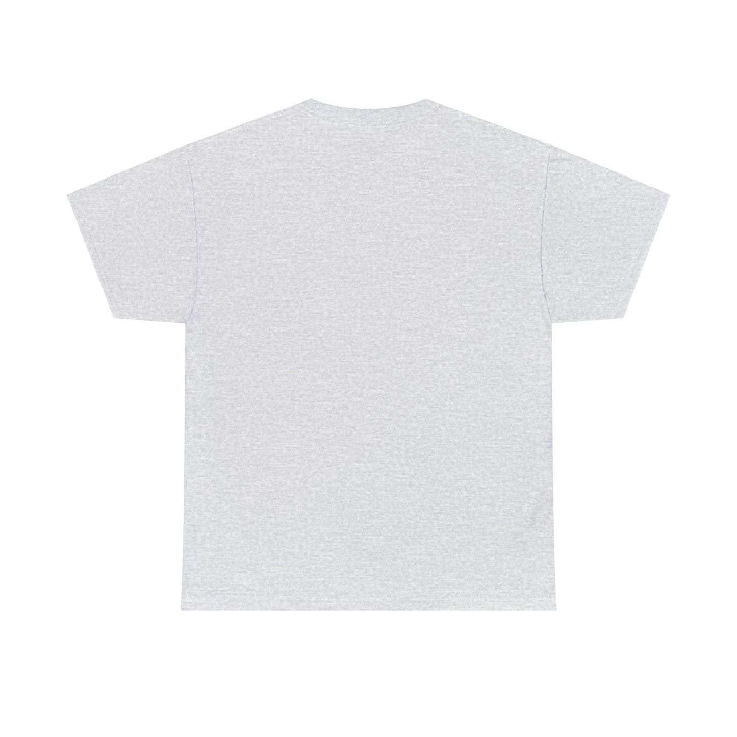 HAVASU Unisex Heavy Cotton Tee